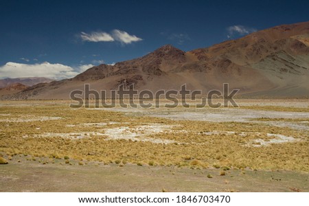 The Andes mountain range. Panorama view of the brown mountains, yellow grass and valley, under a deep blue sky in San Francisco Pass, Catamarca, Argentina. 