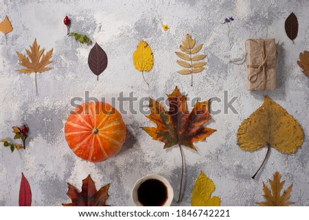 Autumn composition. Cup of coffee, blanket, autumn leaves on black background. Flat lay, top view, square