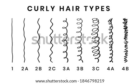 Vector illustration of hair types chart with all curl types, labeled. Curly girl method concept. From 1 to 4B. Royalty-Free Stock Photo #1846798219