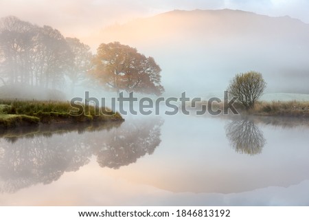 Great Oak tree with Autumn colours reflecting in misty river as the sun burns through the fog. River Brathay, Lake District, UK.