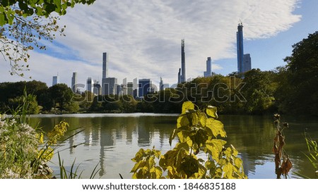New York City Skyline around plants