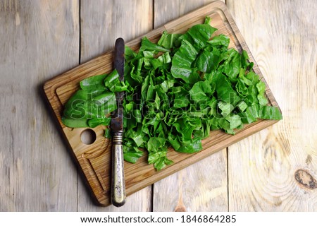 Selective focus. Macro. Fresh chopped spinach on a wooden board. Juicy green spinach Royalty-Free Stock Photo #1846864285