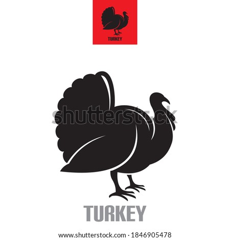 smart turkey logo in solid black color, vector illustrations
