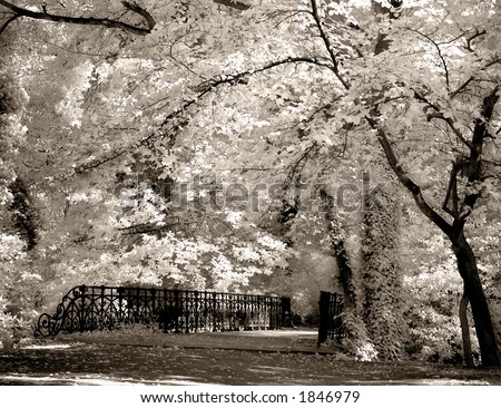 Infrared photo (no photoshopping) of a bridge in a park