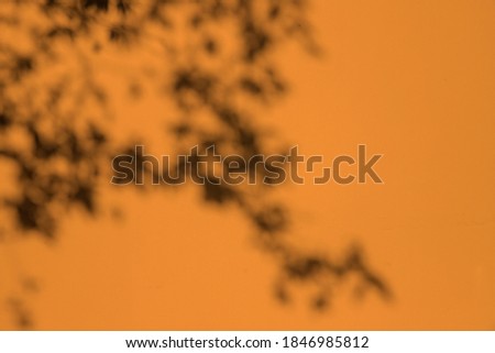 Blurred image of abstract shadow of tree on yellow wall background. with copy space
