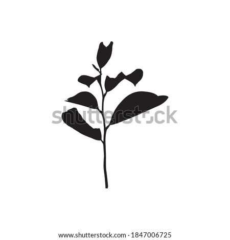 vector silhouette of herbal plant for treatment