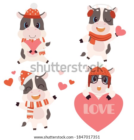 The collection of cute cow wear christmas costume with heart in flat vector style. 
Graphic resource about holiday for  graphic,content , banner, sticker label and greeting card.