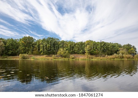 River in a forest area. Mixed forest.