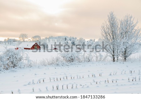 Rural winter landscape with a farm Royalty-Free Stock Photo #1847133286