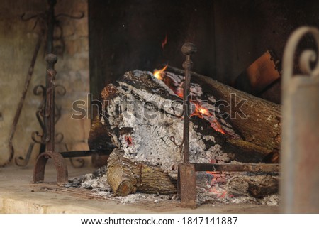 Close-up of fireplace with burning firewood in cozy interior