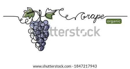 Grape bunch vector illustration. One continuous line drawing art illustration with lettering organic grape. Royalty-Free Stock Photo #1847217943