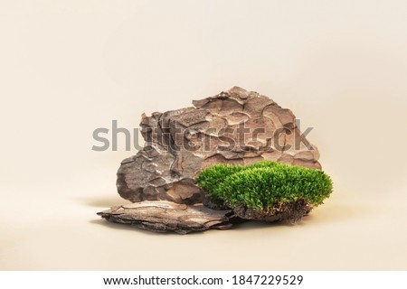 Composition of bark tree and moss on pastel background. Abstract podium for organic cosmetic products. Natural stand for presentation and exhibitions. Royalty-Free Stock Photo #1847229529