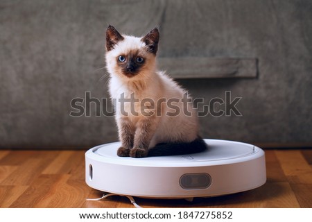 Cat on robotic vacuum cleaner in house Royalty-Free Stock Photo #1847275852