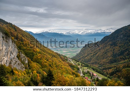 autumn forest in Chablais Valaisan overlooking Valley of the Rhone Royalty-Free Stock Photo #1847312293