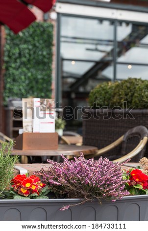 Beautiful flowers in an open-air small cafe