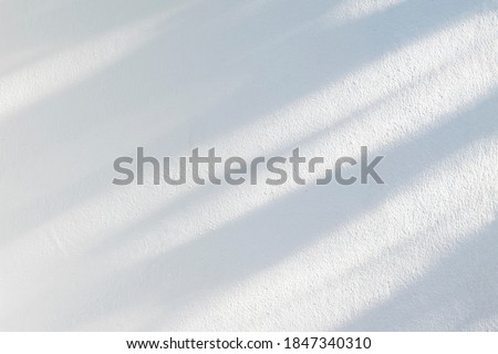 Abstract leaf and light shadow blur background. Natural diagonal leaves tree branch shadows and sunlight dappled on white concrete wall texture for background wallpaper and design
