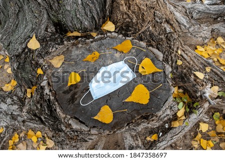Medical mask lies on a tree stump in the park and yellow leaves