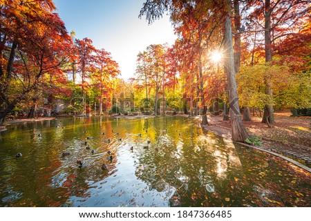 Autumn morning sunrise in Carol Park from Bucharest with amazing fall coloured tree leaves and blue sky