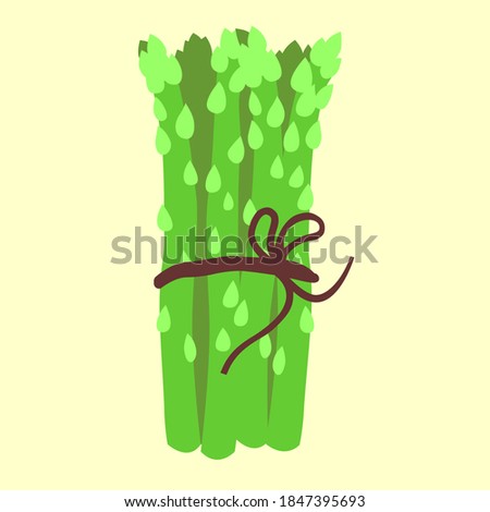 Asparagus, hand drawn vector illustration