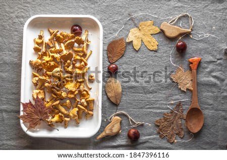 Still life of chanterelles, chestnuts, autumn leaves, wooden birds.