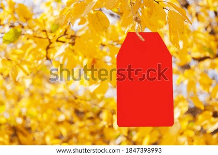 blank red paper tag hanging on branches of autumn tree with yellow leaves