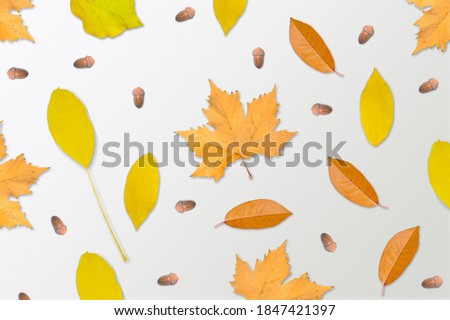 Autumn composition with fall leaves on the desk