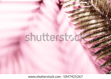Palm leaves and shadows on a color wall background.