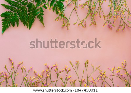 Beautiful colorful flowers and green plant on the pink background. Top view with copy space