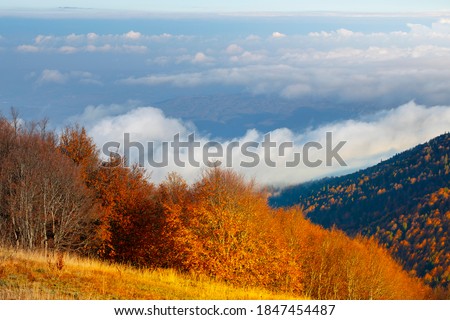 autumn landscape on the mountain. hills above the clouds. Uludag mountain, Bursa city.