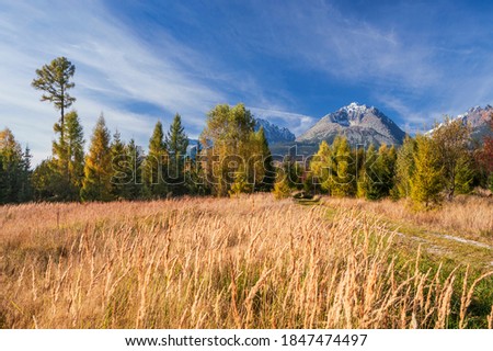 Autumn morning in High Tatras national park, Slovakia