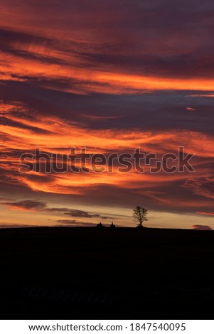 Lonely tree on a hill at sunset. Colorful and dramatic sky, clouds, dark, twilight, golden hour, landscape photography