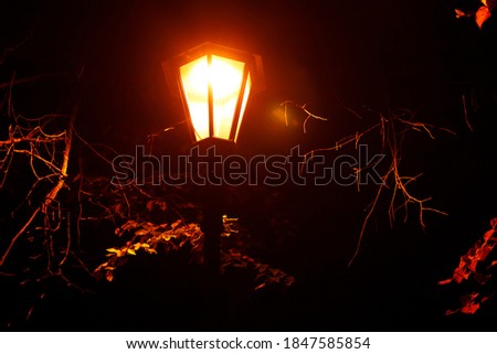beautiful glowing street lamp in the park at night