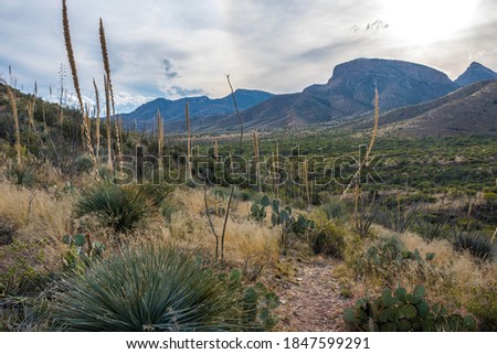 An overlooking view of Kartchner Caverns NP, Arizona Royalty-Free Stock Photo #1847599291