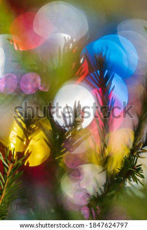 Silhouette of branch with needles Christmas tree. Happy New Year ornament decorations, colorful defocused abstract blurry bokeh background. Out of focus Xmas lights, celebration motion blur texture.