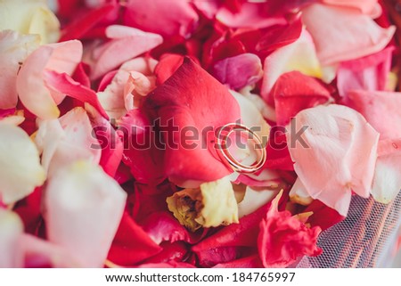 image of wedding rings in a gift box on flowers background