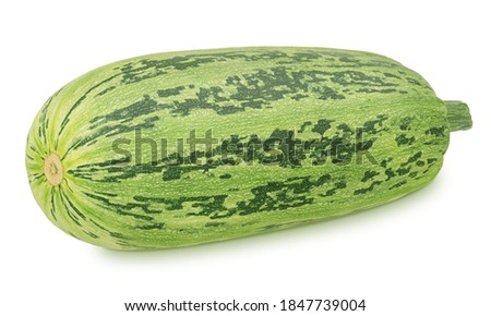 Fresh whole green vegetable marrow zucchini isolated on a white background. Clip art image for package design.