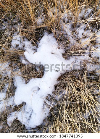 White snow with dry grass in winter.
