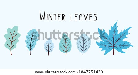 Winter leaves. Wintery garden leaf, frosty leaf. Forest trees, December Christmas tree foliage. Flat isolated vector symbols set.