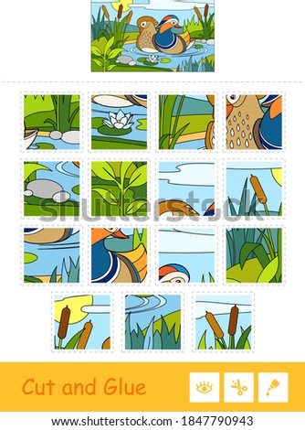 Cut and glue vector puzzle learning children game with colorful image of mandarin ducks floating on a forest river near reeds and water lilies. Wild birds educational activity for kids.