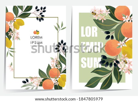  Vector illustration of a beautiful floral frame set with fruits. Design for cards, party invitation, Print, Frame Clip Art and Business Advertisement and Promotion