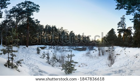 Panorama winter landscape in the forest at sunset. Lots of footprints in the snow. Snow-covered quarry. Banner. Selective focus
