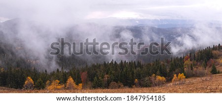 Natural gloomy background of autumn mountains with yellow trees and fir trees on a cloudy day with clouds in the sky and fog. Banner wallpaper