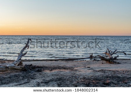 Early morning sunrise in the wild beach at Kolka, Latvia. Beach after the storm with fallen trees and trunks.