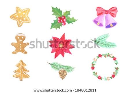 Set of Christmas elements gingerbread, spruce branch with pine cone, poinsettia, bell, holly, wreath, for festive design on a white background.