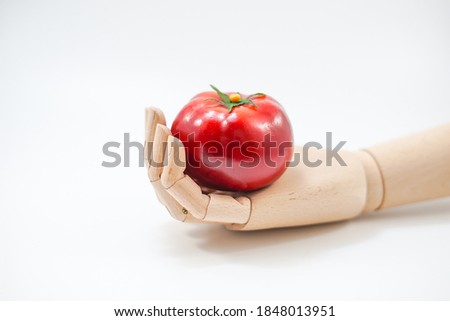 Wooden hand holding an apple