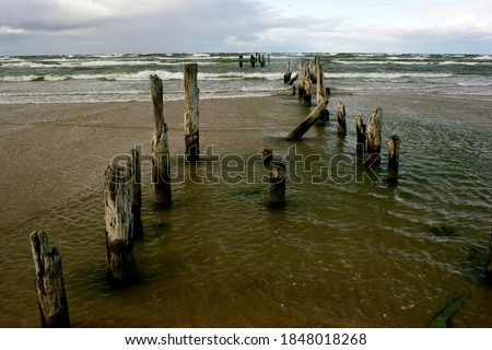 Old wooden wave breakers pole on a Baltic sea shore near Mazirbe,Latvia