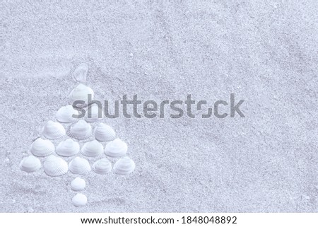 Christmas tree made of shells on dry white sand. Southern Hemisphere New Year Concept