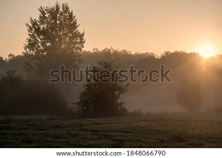 Breathtaking orange sunrise over a meadow. The fog makes the silhouettes of the trees blurry and brings a mystical mood into the picture. Kampinos National Park, Poland.