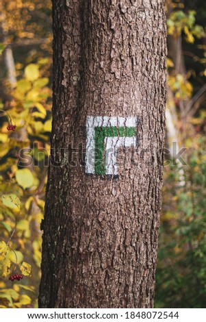 green route sign on a tree