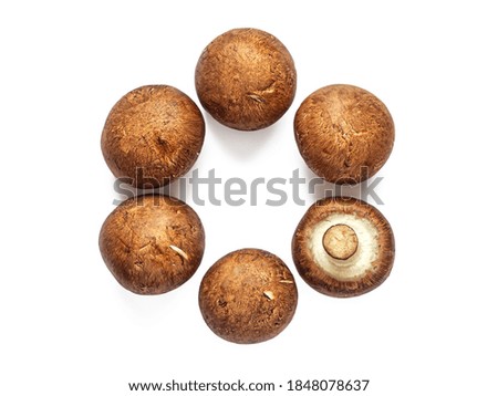Several champignons, with brown caps, are laid out in a circle, isolated on a white background